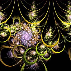 FRACTAL ART DESIGN GREETING CARD Floral Spiral